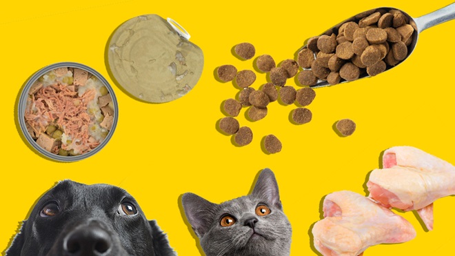 dog and cat looking at different types of pet food